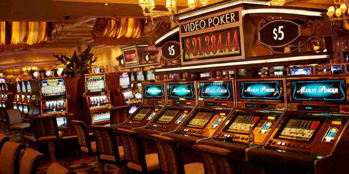 Exploring Online Casino Safety: Join the Scam Verification Community Inavegas